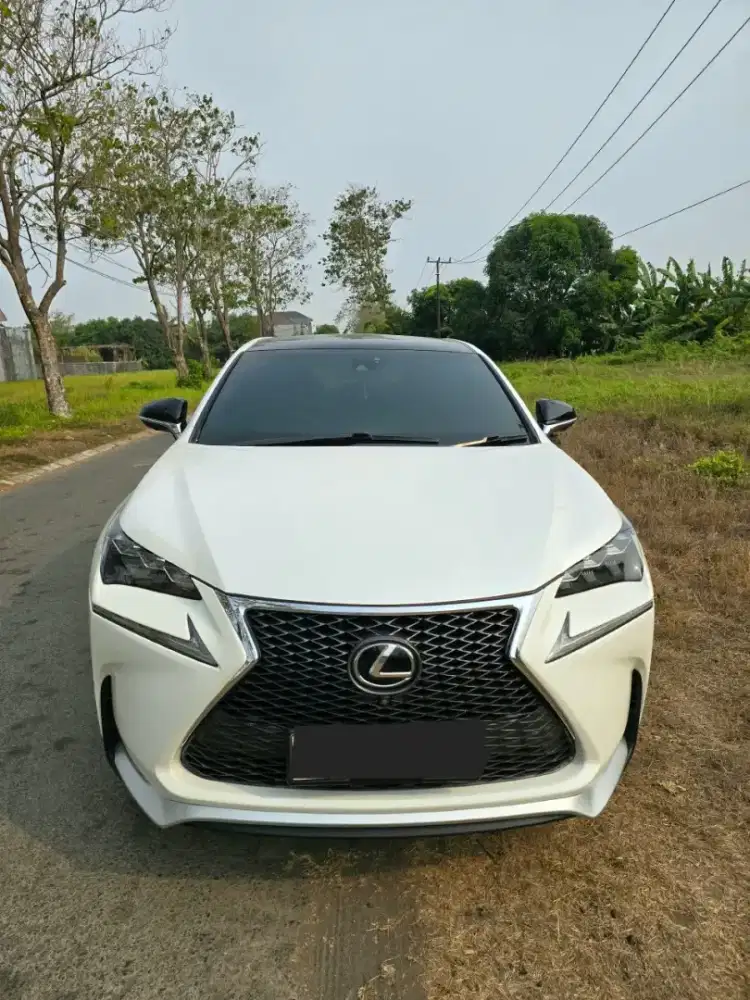 Lexus NX200T 2WD A/T Tahun 2014 warna Putih
