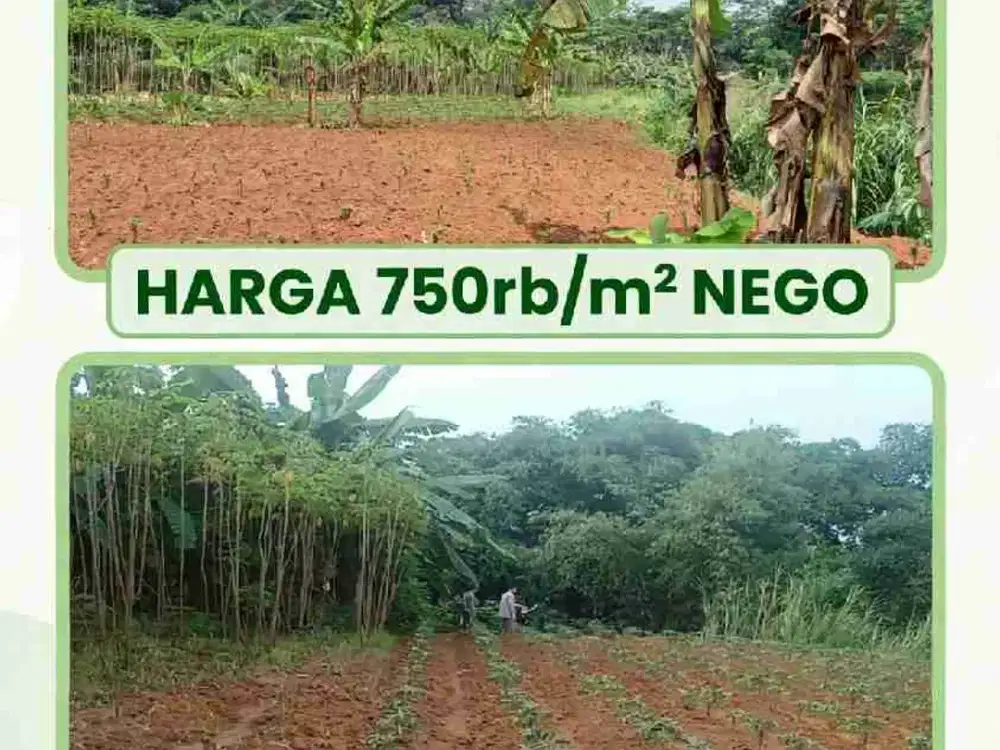 Harga miring, Dijual Tanah di parung, gunung sindur, bogor