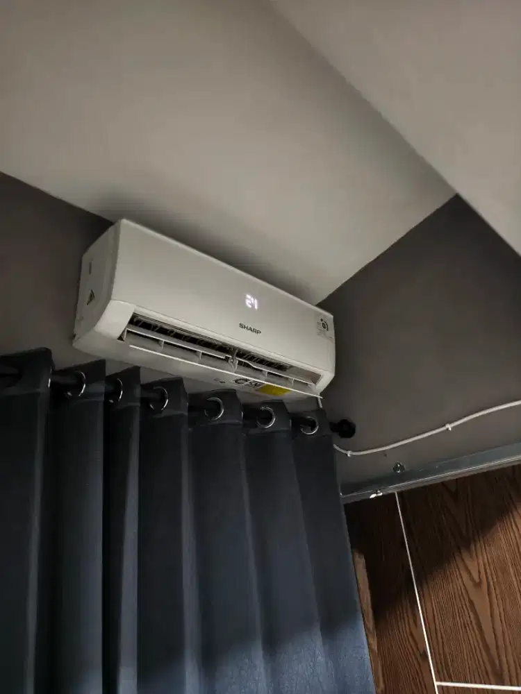 Ac Sharp 1/2pk second