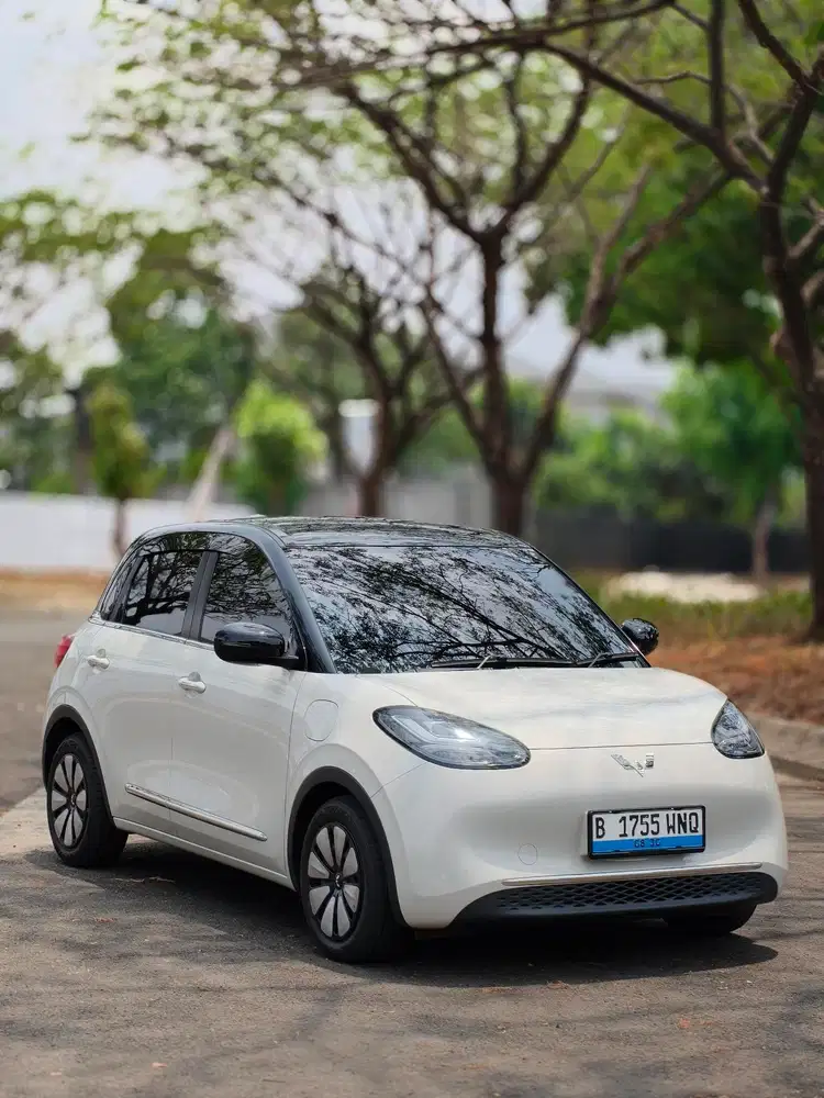 BINGOU EV PREMIUM RANGE 2024 LOW KM GOOD CONDITION !!