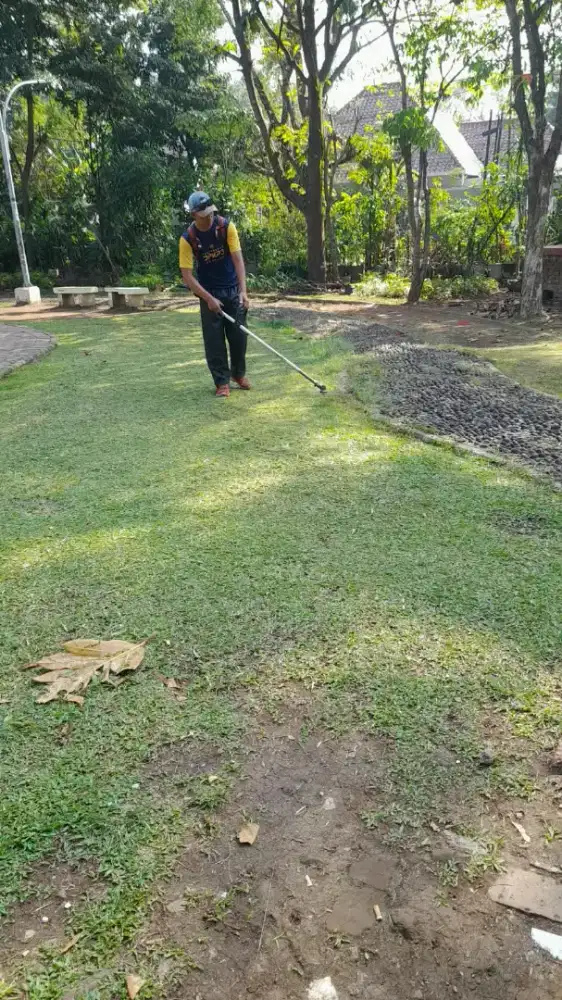 Jasa potong rumput