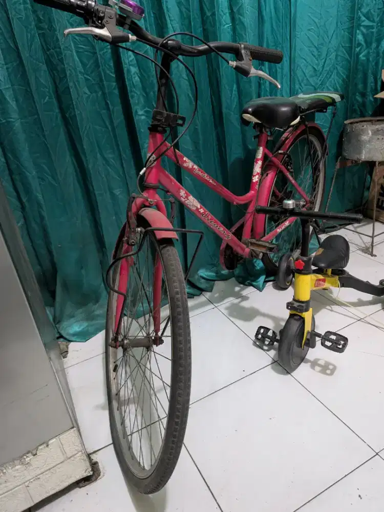 Jual Borongan sepeda Dewasa & Anak