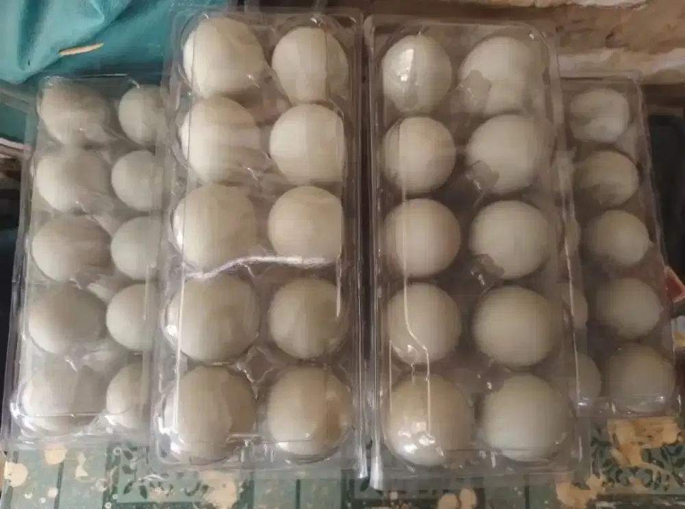 Telur bebek mentah