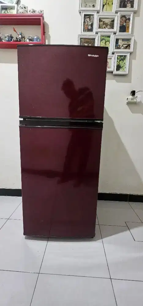 Kulkas Sharp SJ 195 2 pintu Barang Dijamin Bagus