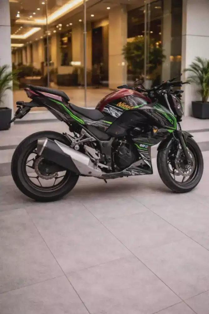 Kawasaki Ninja Z250 2 selinder 250 CC DOHC 2016