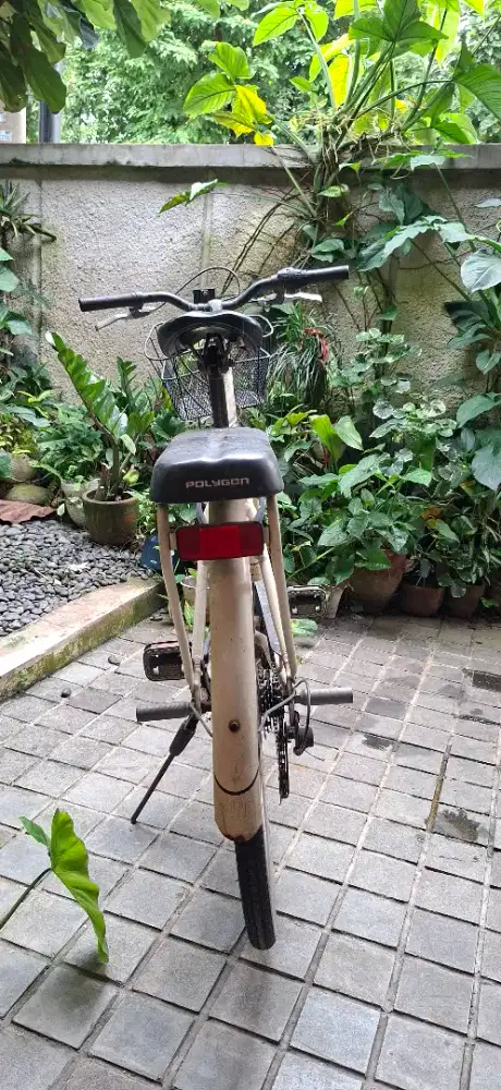 Sepeda Polygon Wanita Vintage Cream + Keranjang Dpn & Boncengan Blkg