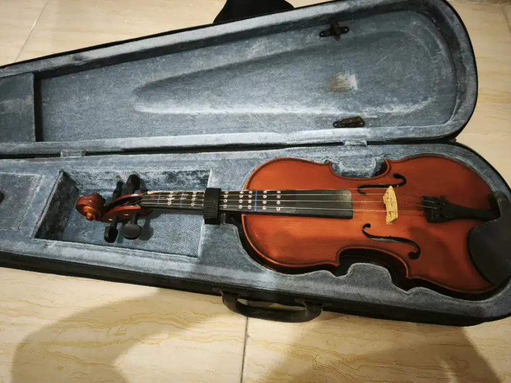 Violin pula 4/4
