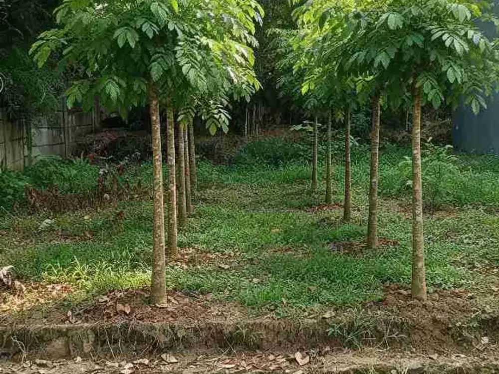 Dijual tanah 1288m 4jt permeter bagus bangun town house cluster muka 26.5meter panjang 49meter sesuai ukur surat sesuai di sertifikat lokasi jalan studio alam TVRI