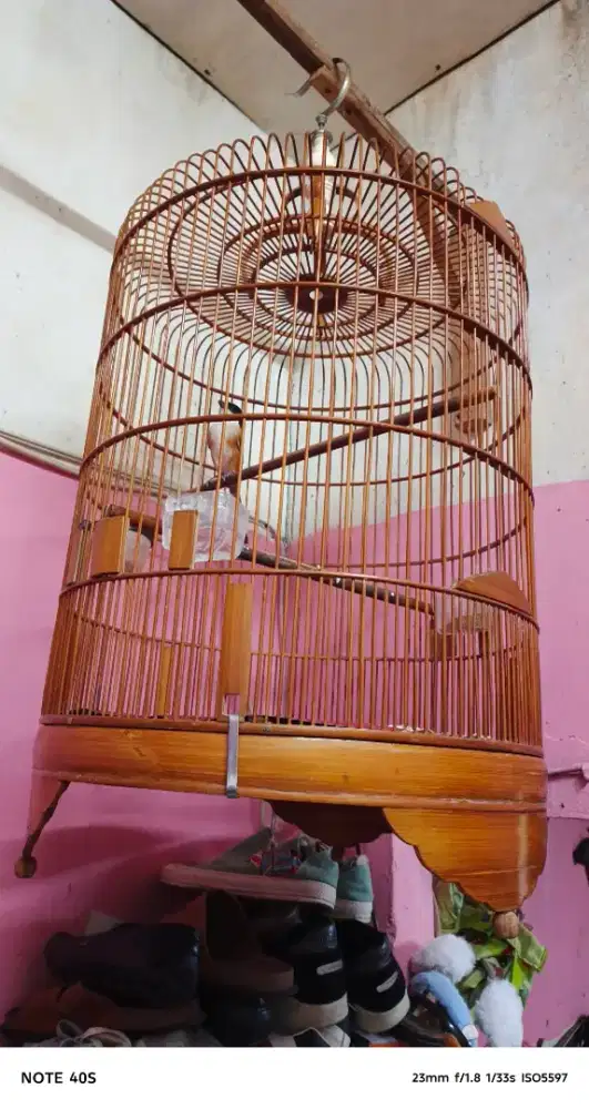 Kandang burung murai ukuran seperti nya no 3. Jdin kandang lakbet aja