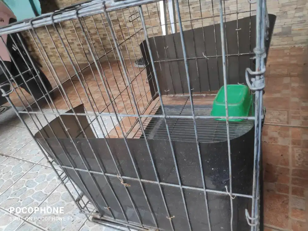Jual kandang  kucing
