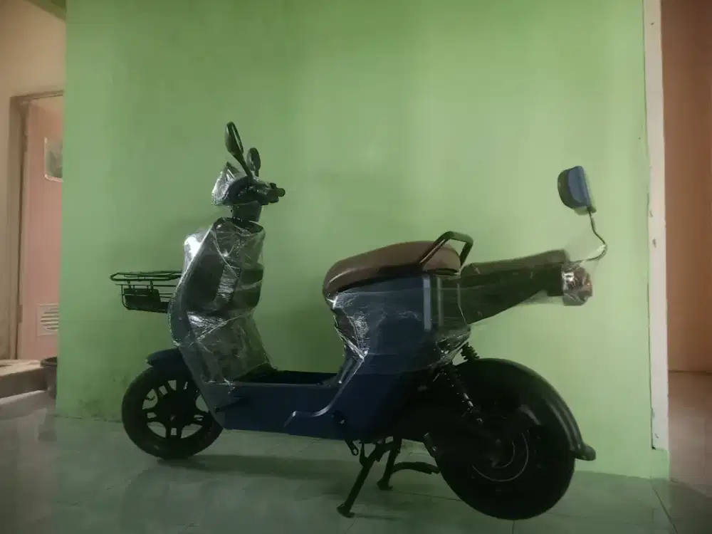 Sepeda listrik exotic x650