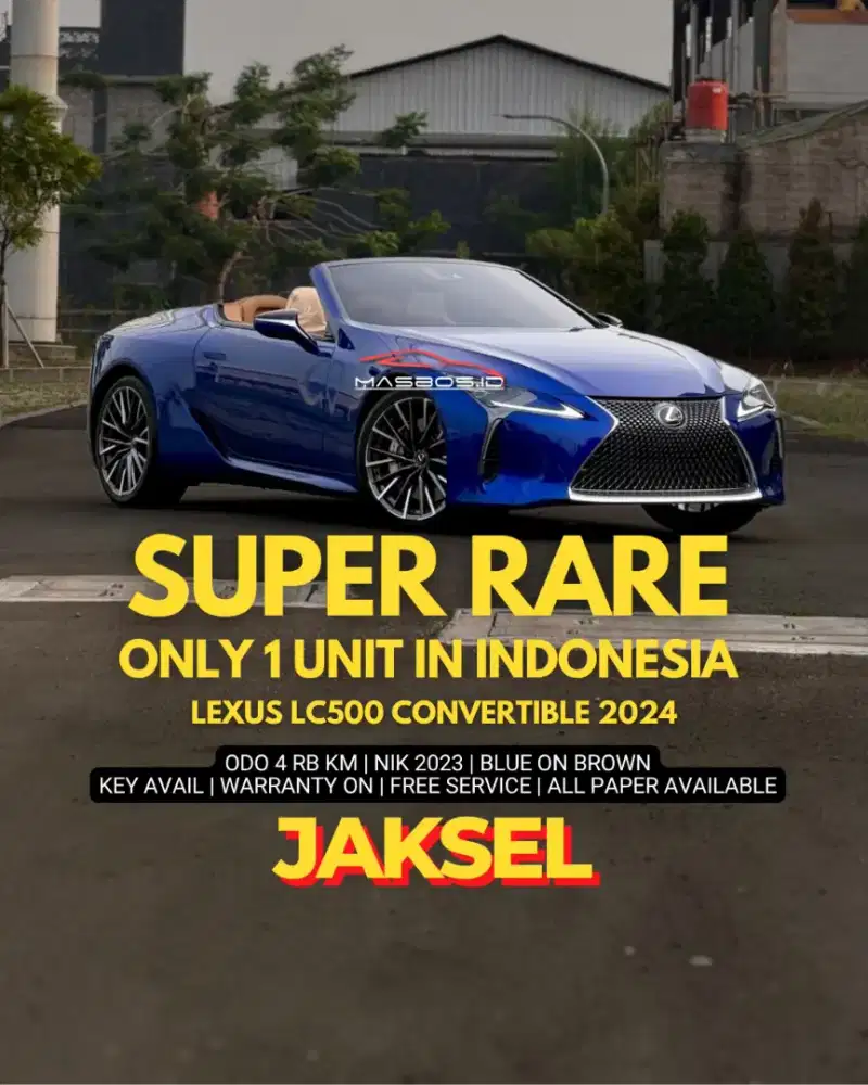 LEXUS LC 500 V6 5.000Cc Convertible 2024 / 2023