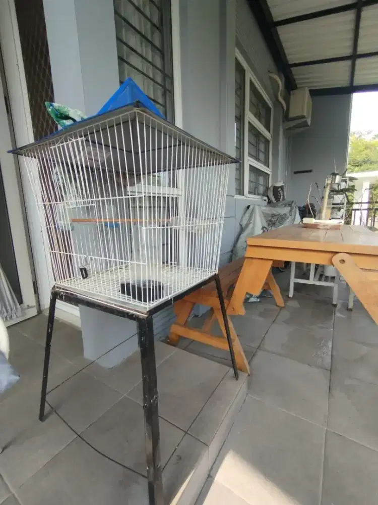 Kandang burung bisa parrot dll
