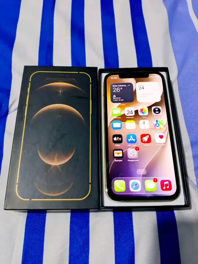 Iphone 12 Pro 256Gb All Operator
