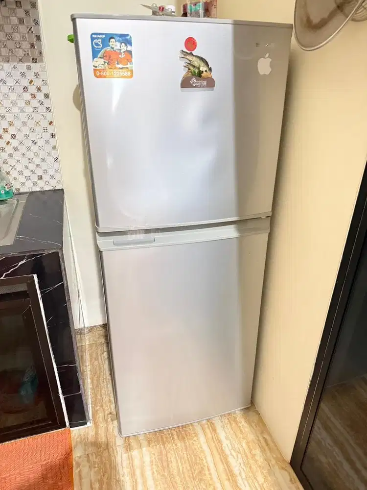 Kulkas sharp 2 pintu
