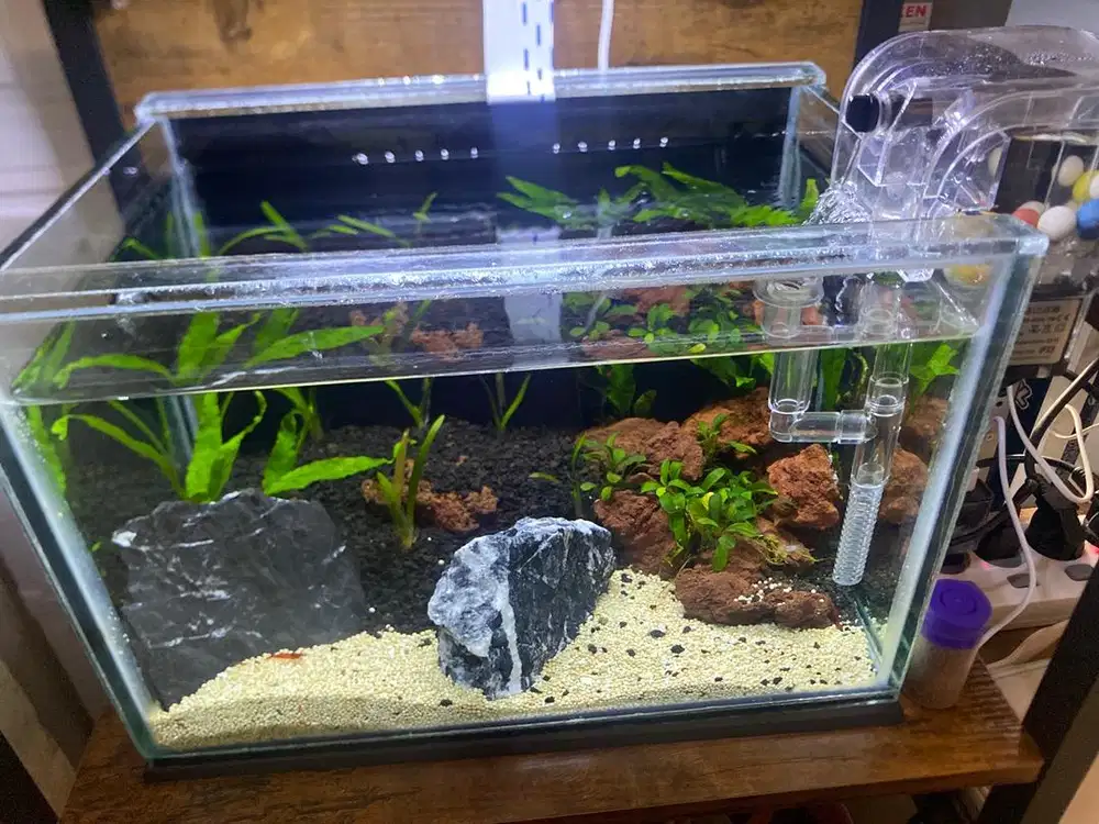 Jual Aquascape set ukuran 30x20x20