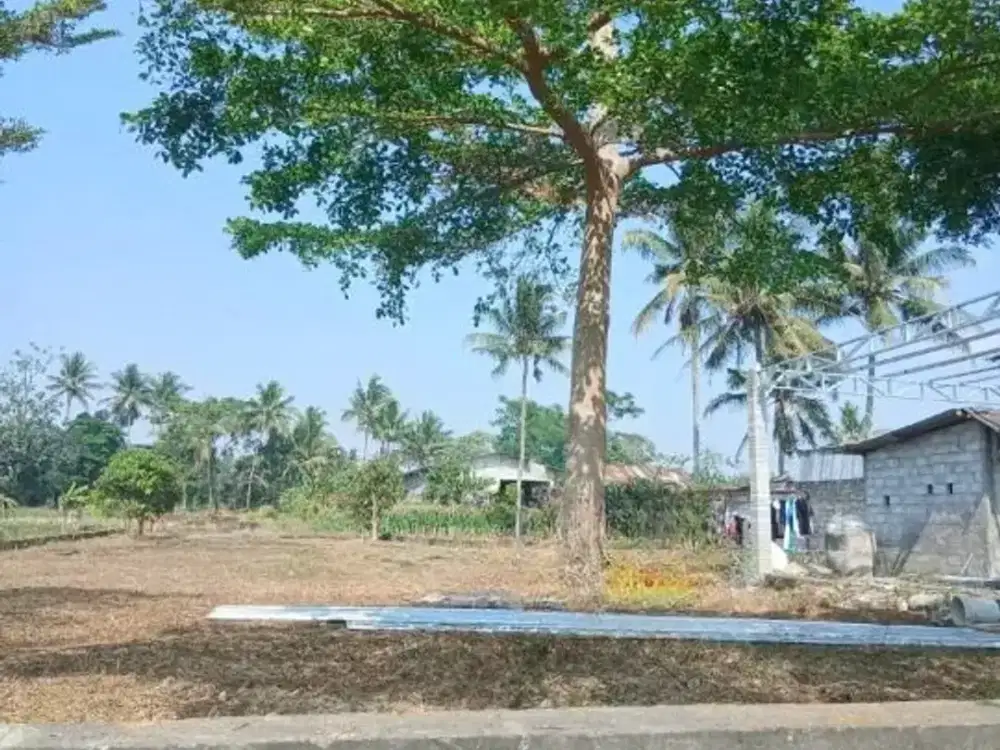 LT 815 LD15 JL KALIURANG KM 15 TEPI JALAN TANAH UMBULMARTANI NGEMPLAK MURAH DEKAT KAMPUS UII, PAMUNGKAS, BESI, JANGKANG, DEGOLAN, CANDI, PANDANARAN