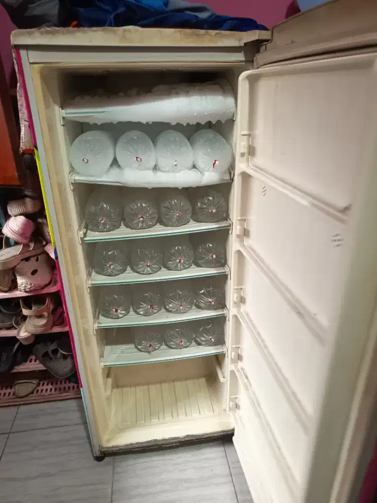 Freezer LG 1 pintu