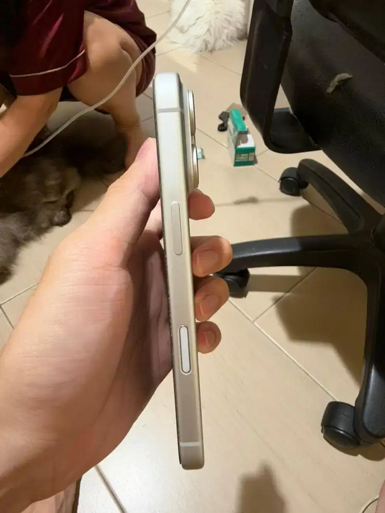 Jual iPhone 17 Pro Silver 256 GB iBox