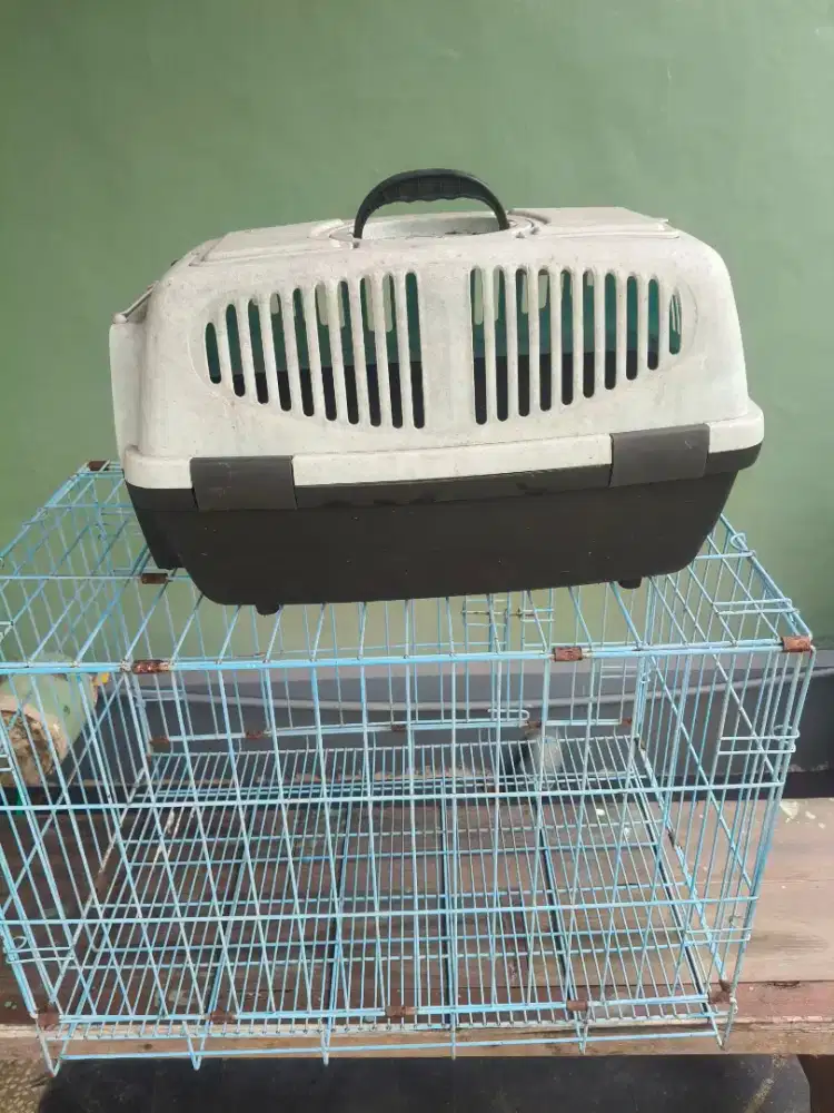 Keranjang dan kandang Kucing