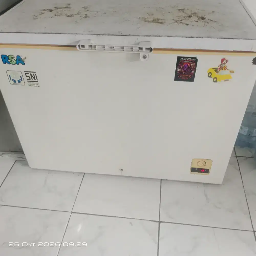 Frezer Rsa 300L