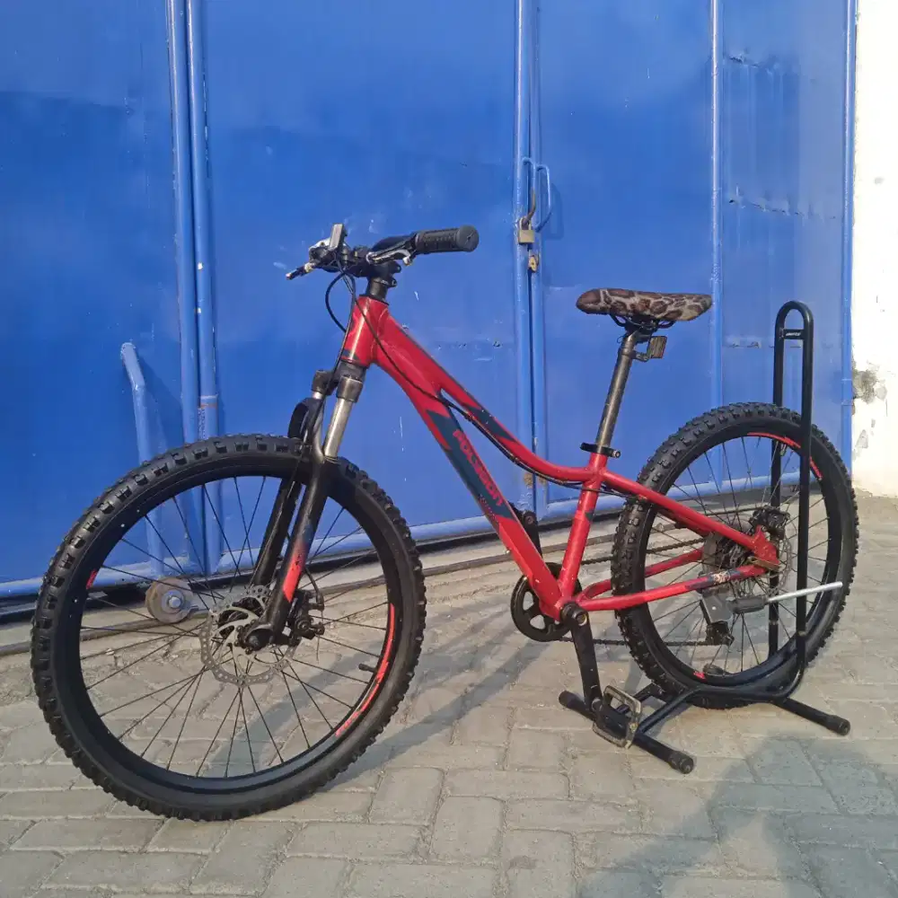 Polygon Relic 24 alloy