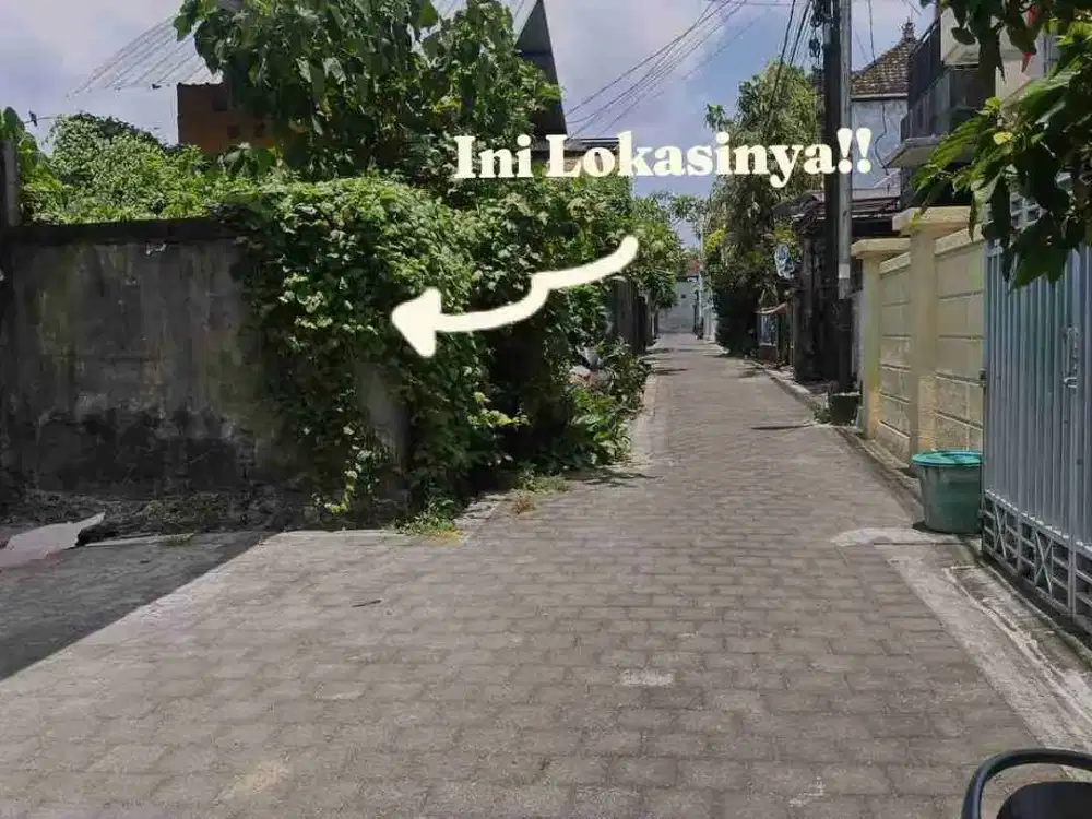 tanah badak agung renon bali