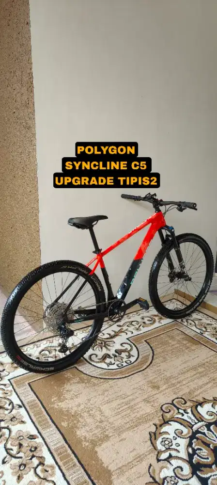 POLYGON SYNCLINE C5 CARBON ISTIMEWA