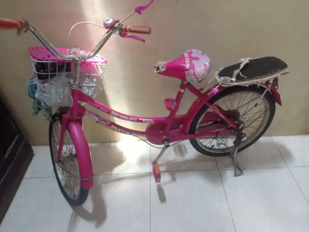 Sepeda Anak Bekas