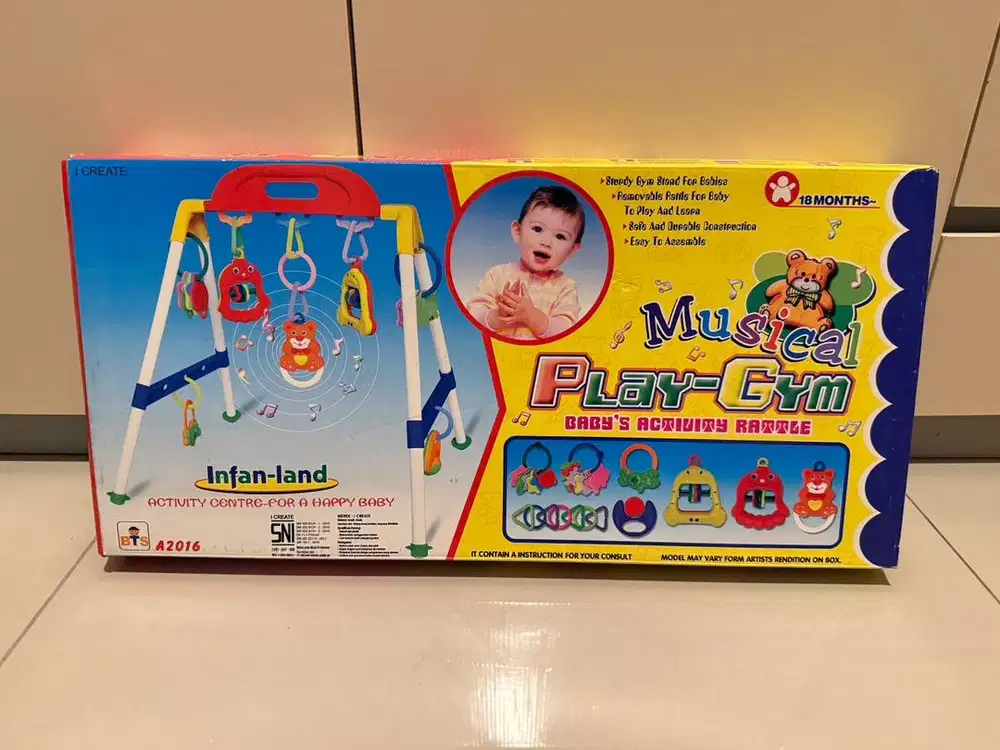 Musical Play Gym - Baby Activity