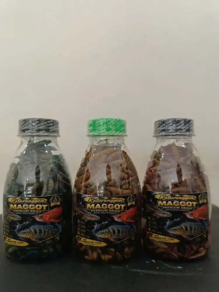 Maggot kering pakan ikan