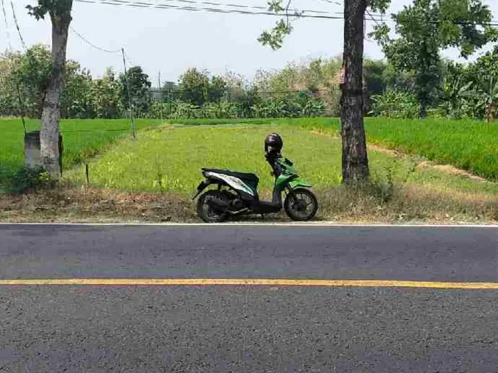 Tanah Ngawi