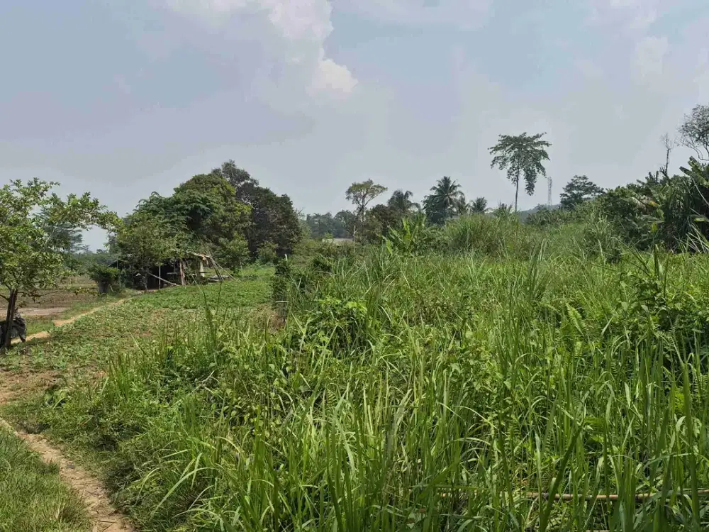Di JUAL TANAH DARAT LUAS 5 HA PELUANG EMAS INVESTASI DI BOGOR