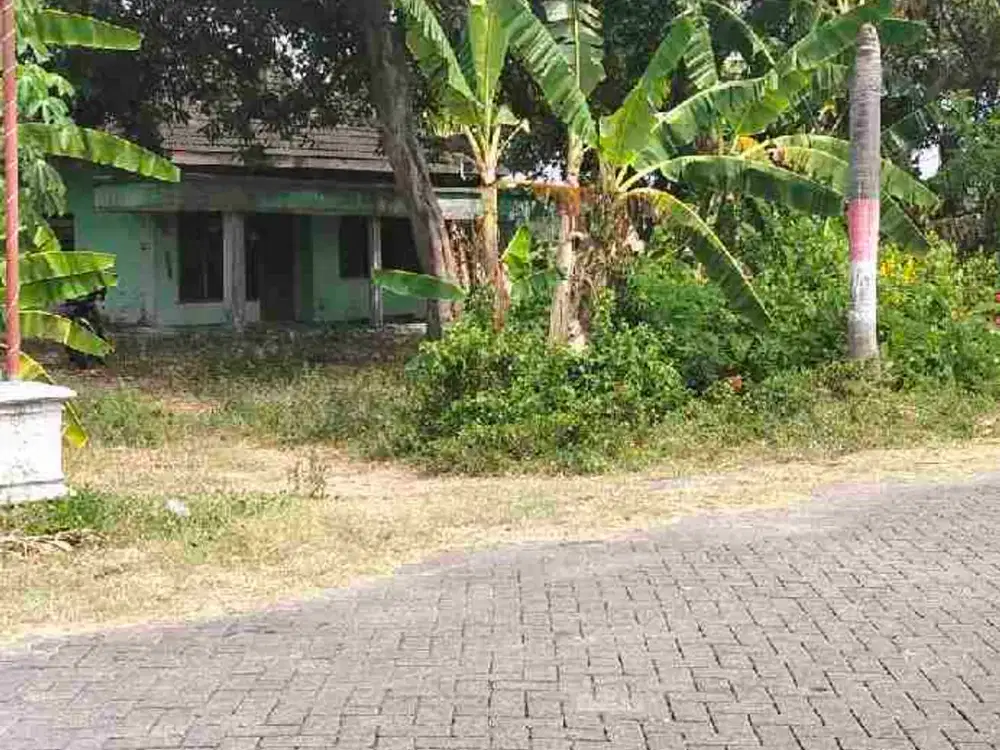 Tanah Gratis Rumah