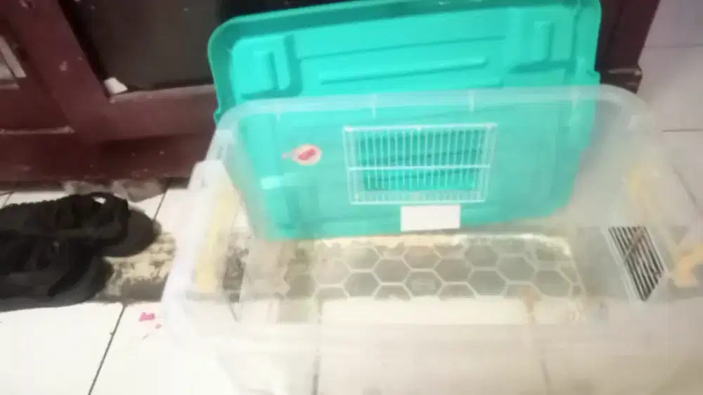 Dijual tempat hamster dll