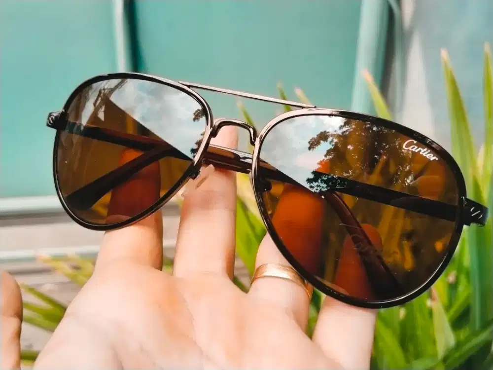 Kacamata pria coklat aviator