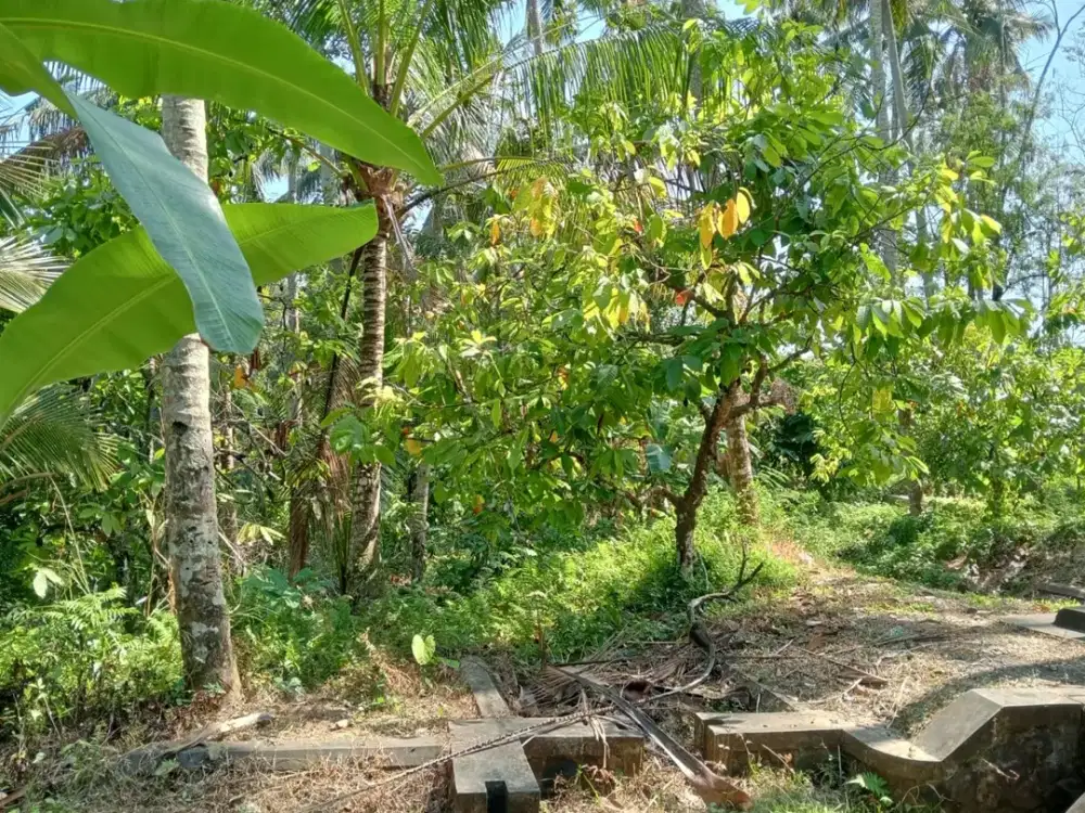 Dijual Tanah Lokasi Strategis untuk Bangun Resort dan Villa