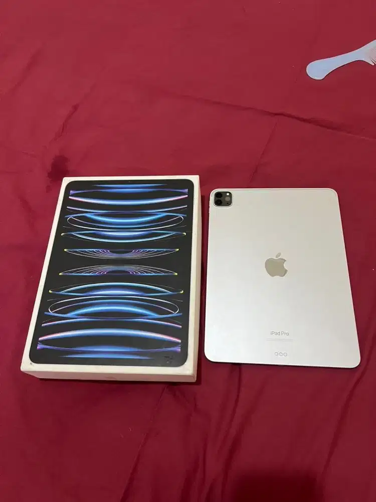 Ipad pro m2 128gb inter bisa tt