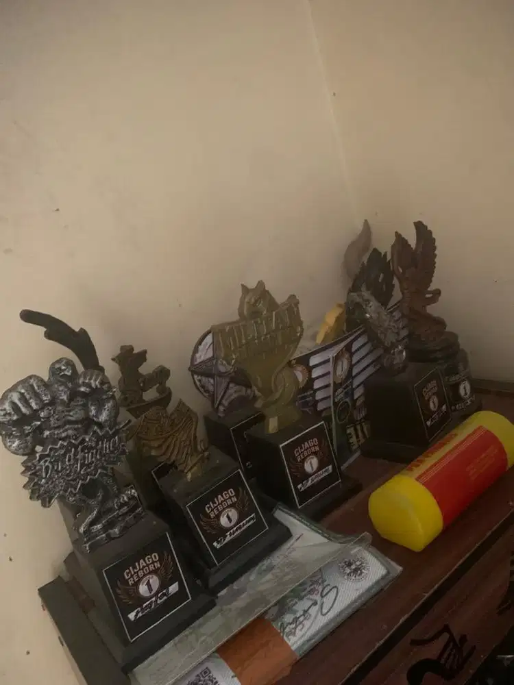 piala lomba burung murai batu harga borongan