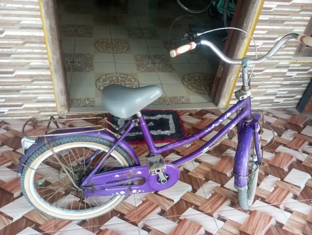 Sepeda anak PHOENIX ukuran 20