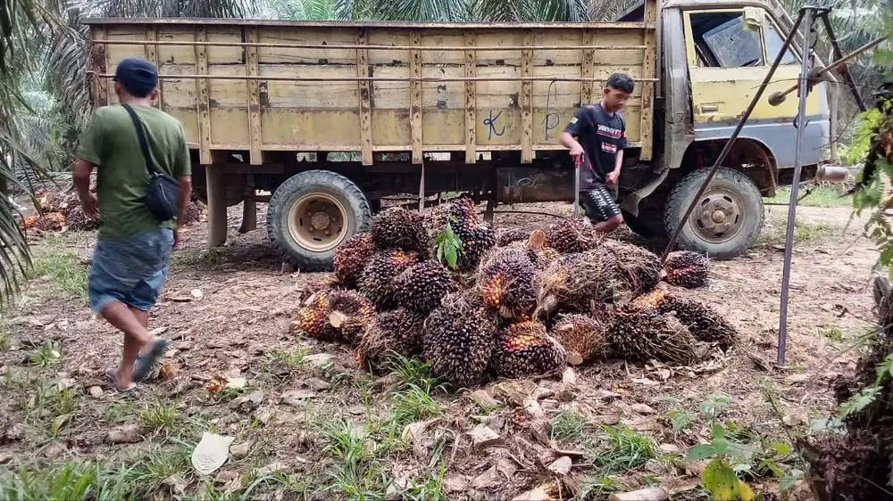 Loker Pekerjaan Khusus Cowok