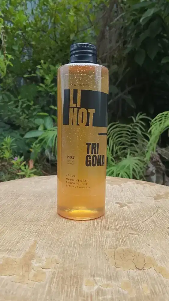 Madu Trigona/Linot/Kelulut Asli Aceh - 200 ml