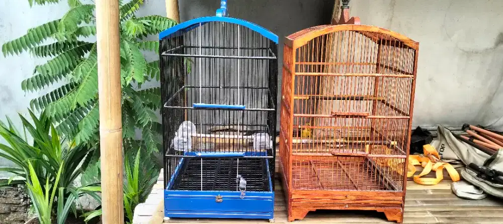 Sangkar Kotak Nomer 2