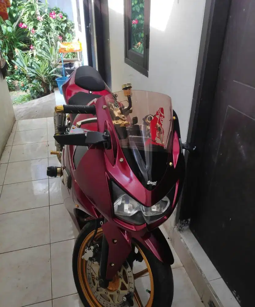Kawasaki 250 2010
