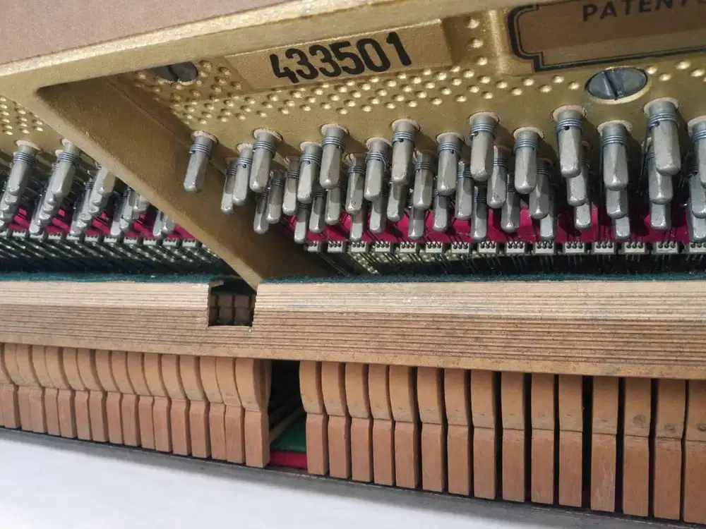 PIANO akustik PETROF Seri 4 RARE COLLECTOR item!