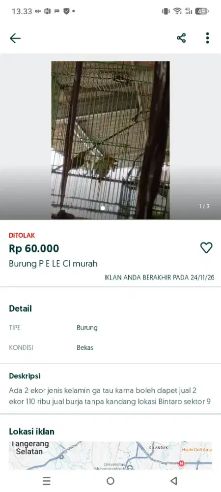 Burung sesuai di iklan