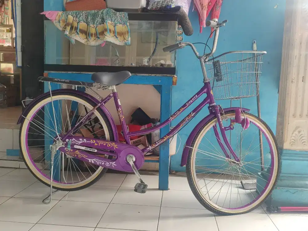 sepeda keranjang
