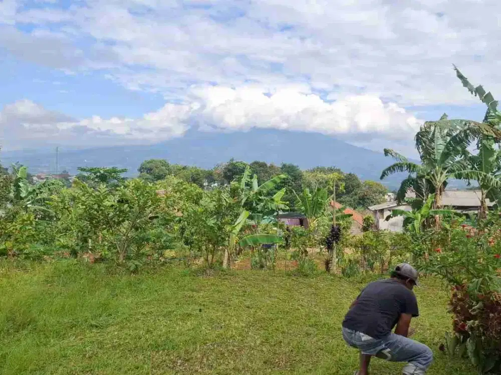 DI JUAL TANAH DARAT LUAS 2.400 m2 COCOK UNTUK VILLA DAN IVESTASI