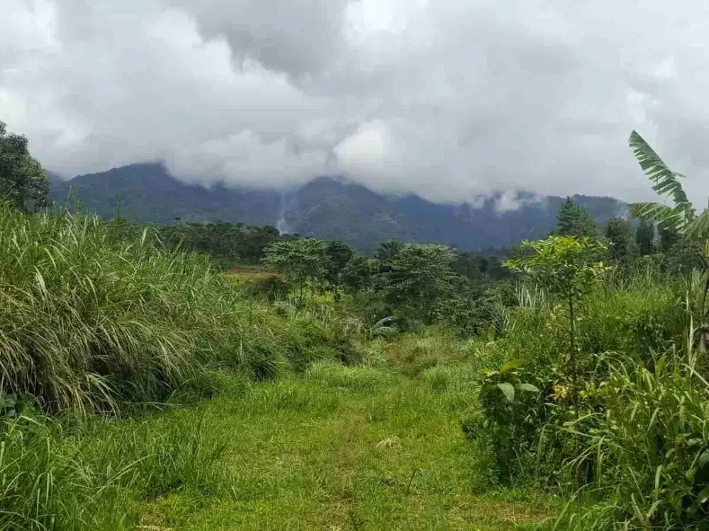 DI JUAL TANAH DARAT LUAS 6032 m2 COCOK UNTUK VILA DAN INVESTASI