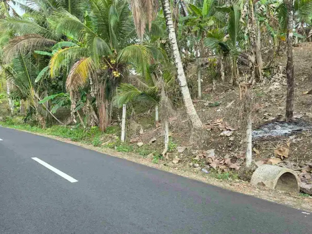 Tanah Premium area Penebel Tabanan Bali